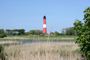 Pellwormer Leuchtturm