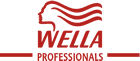 WELLA  PROFESSINNEL