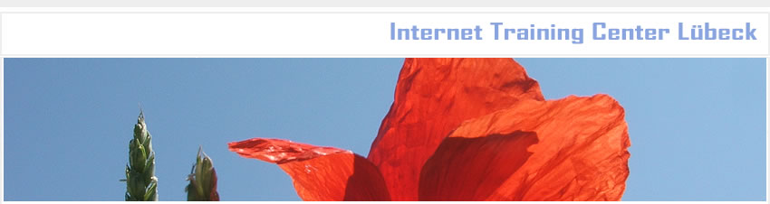 mohn_korn_himmel.jpg