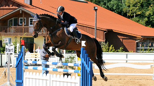 Reitsport-Springreiten