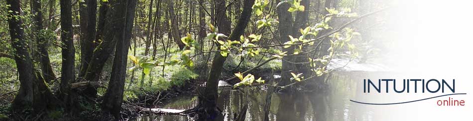 alsterlauf_neu.jpg