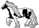 Capellfeirm-Irishcob-Ranch,Tamara Zellweger, Schweiz