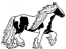 Capellfeirm-Irishcob-Ranch, Tamara Zellweger, Schweiz