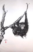Affe_Tiere.jpg