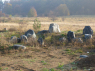 <b>1013_jp_garten.jpg</b><br>Die Steine wurden im April 2011 mit einem Schwerlastkran gesetzt.