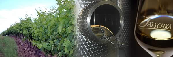 Weingut Jatschka - A-2100 Stetten