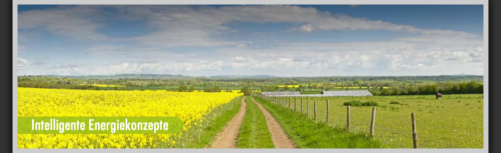 raps-wiese.jpg