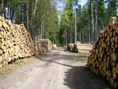 Bild1