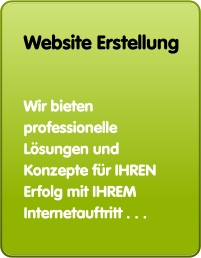 Website Erstellung