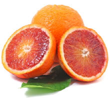 Blutorgangen