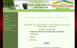 Holistic Webdesign Johannes Gansterer Waidring 6