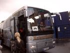 Bild16 Treu und zuverl�ssig