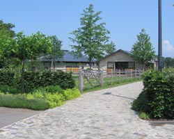 Natursteinverblendungen