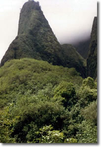 kauai-iao-needle