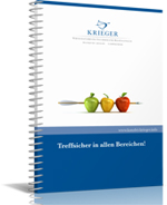 Krieger Steuerberatung Frankfurt - Lampertheim &bull; Steuer und Wirtschaft, Aktuelles zur GmbH 