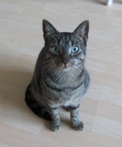 Nanni ,  ca. 2 Jahre