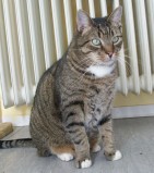 Eddie , 7,5 Jahre Eddie , 7,5 Jahre