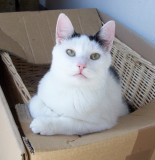 Babsi , 1 Jahr Babsi , 1 Jahr