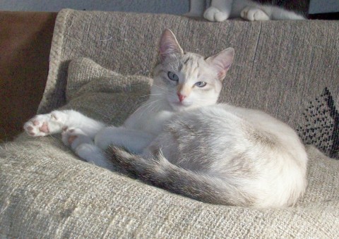 Melody, 8 Monate