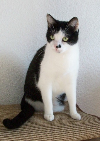 Wendy, 5 Jahre