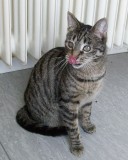 Wenja, 1 Jahr Wenja, 1 Jahr