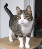 Penny, 3 Jahre Penny, 3 Jahre