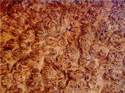 holzart-1.jpg