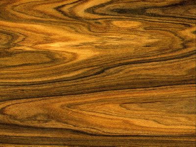 holzart-6.jpg