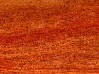 holzart-8.jpg