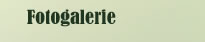 Fotogalerie aufrufen