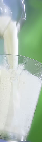 Milchprodukte