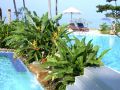 Bhumiyama Beach Resort,
garden
swimming