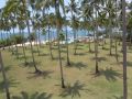 Chang Park Resort & Spa, over view palms tree