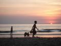 Activities on white sand beach