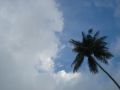 Lonely Beach, sunny day