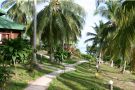 Hindard Resort Koh Kood, Garden in Resort