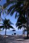 Koh Ngam Island, Palms Beach