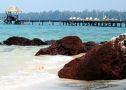Koh Mak Cococape Resort