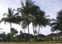 Makathanee Resort, Over View