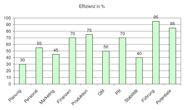 Ganzheitliche Erfolgs-und Potentialanalyse - Auswertung als Grafik