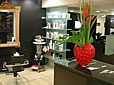 kuhn intercoiffure, Tramstrasse 15, 8050 Z�rich