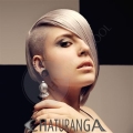 chaturanga-collage kuhn-the-school Trend 1/2012 chaturanga-collage kuhn-the-school Trend 1/2012