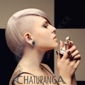 chaturanga-collage kuhn-the-school Trend 1/2012 chaturanga-collage kuhn-the-school Trend 1/2012
