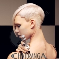 chaturanga-collage kuhn-the-school Trend 1/2012 chaturanga-collage kuhn-the-school Trend 1/2012