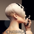 chaturanga-collage kuhn-the-school Trend 1/2012 chaturanga-collage kuhn-the-school Trend 1/2012
