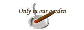 Our friends who smoke can do so in our garden. The house with charming guest-rooms at La Gentilhommière, a Country Manor in Normandy in the Eure department (27) in Haute-Normandie is strictly non-smoking