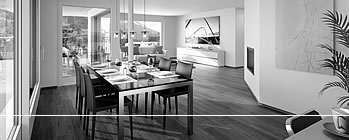 Terrassenwohnung-home03sw.jpg