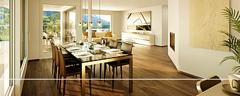 Terrassenwohnung-home03color.jpg