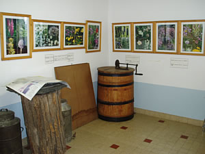 hall_2
