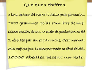 info_10